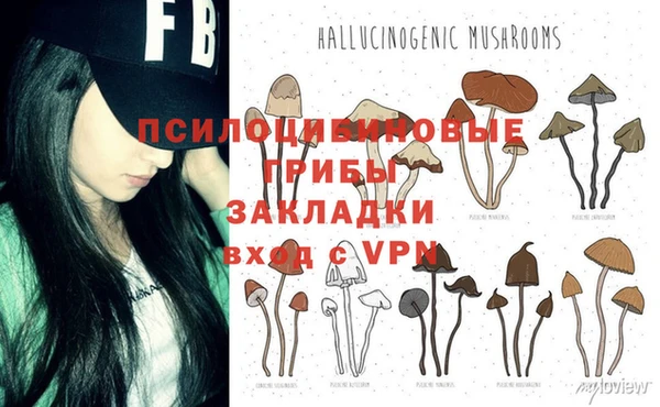 крисы Алексеевка