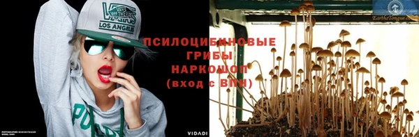 крисы Алексеевка